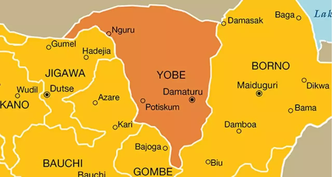 EXTRA: Family 'refunds 11 years salaries' to Yobe over deceased civil servant's absence from work | TheCable