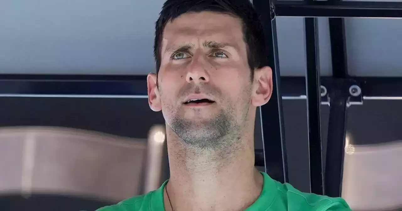 Cómo quedaría el cuadro del Abierto de Australia sin Novak Djokovic