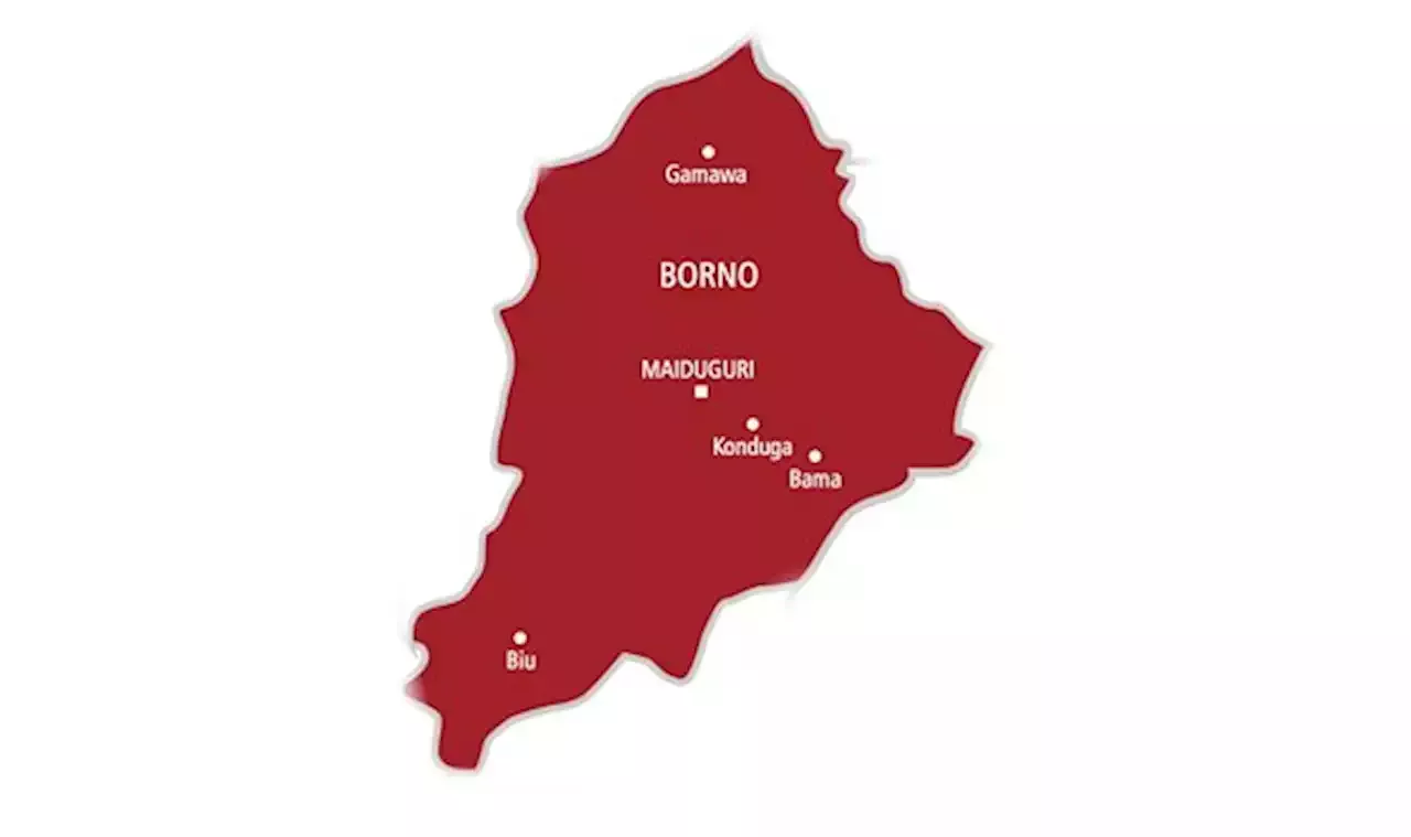 BREAKING: Boko Haram abducts mobile police officers in Borno