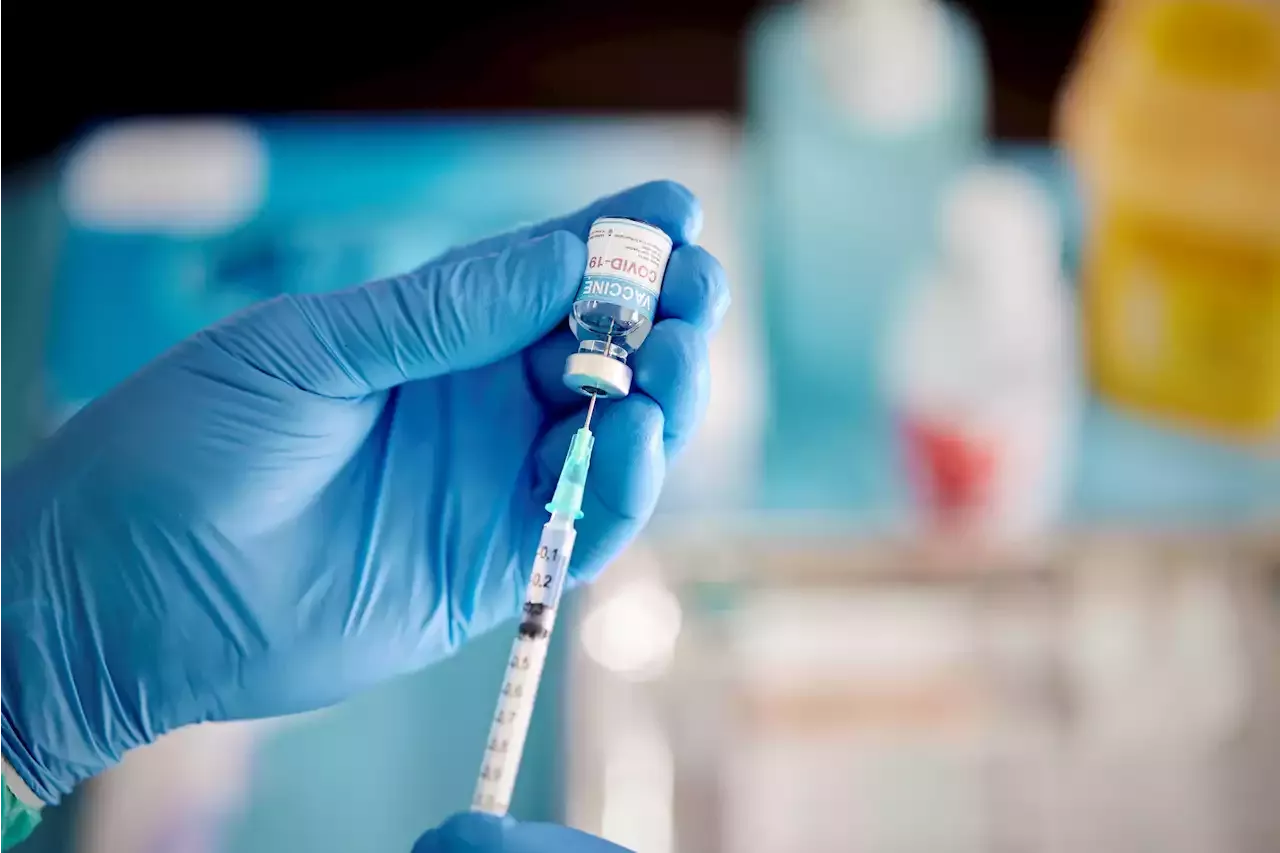 Covid-19: Risco de morte com vacinação completa é três a seis vezes menor - SIC Notícias