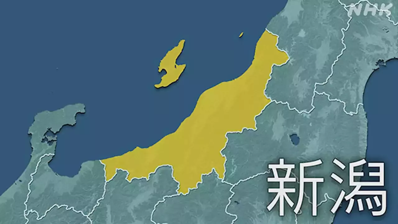 新潟県 新型コロナ 284人感染確認 過去最多 | NHKニュース