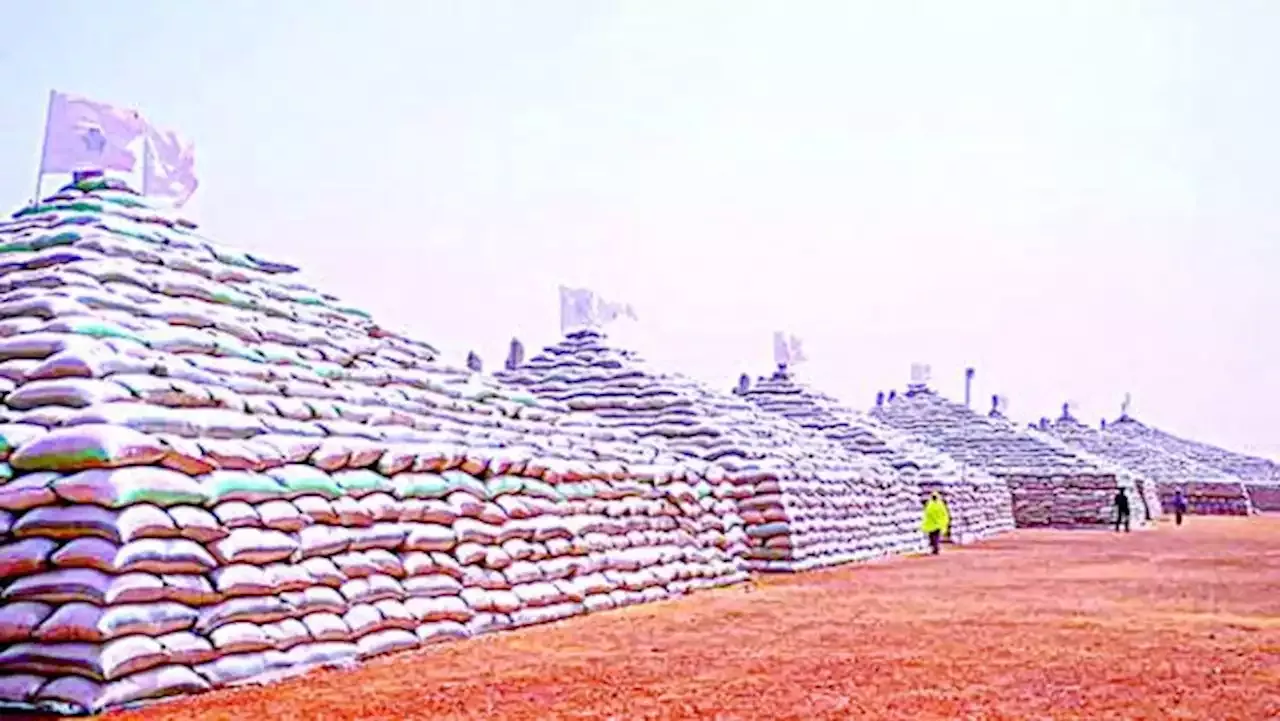 Buhari Unveils Abuja's Rice Pyramids, Says Nigeria Becoming Self-sufficient In Food Production