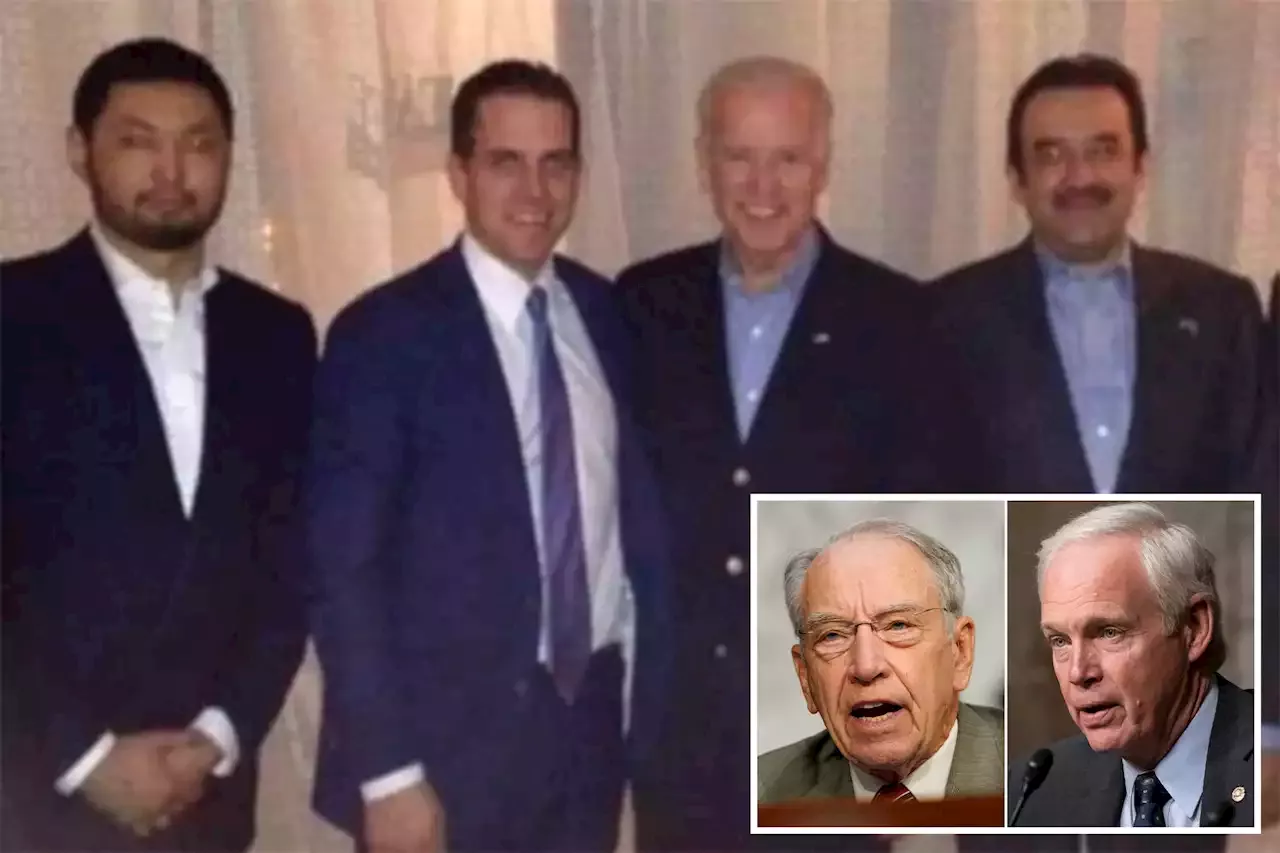 Secret Service ‘hid’ info on Hunter Biden travels, GOP senators claim