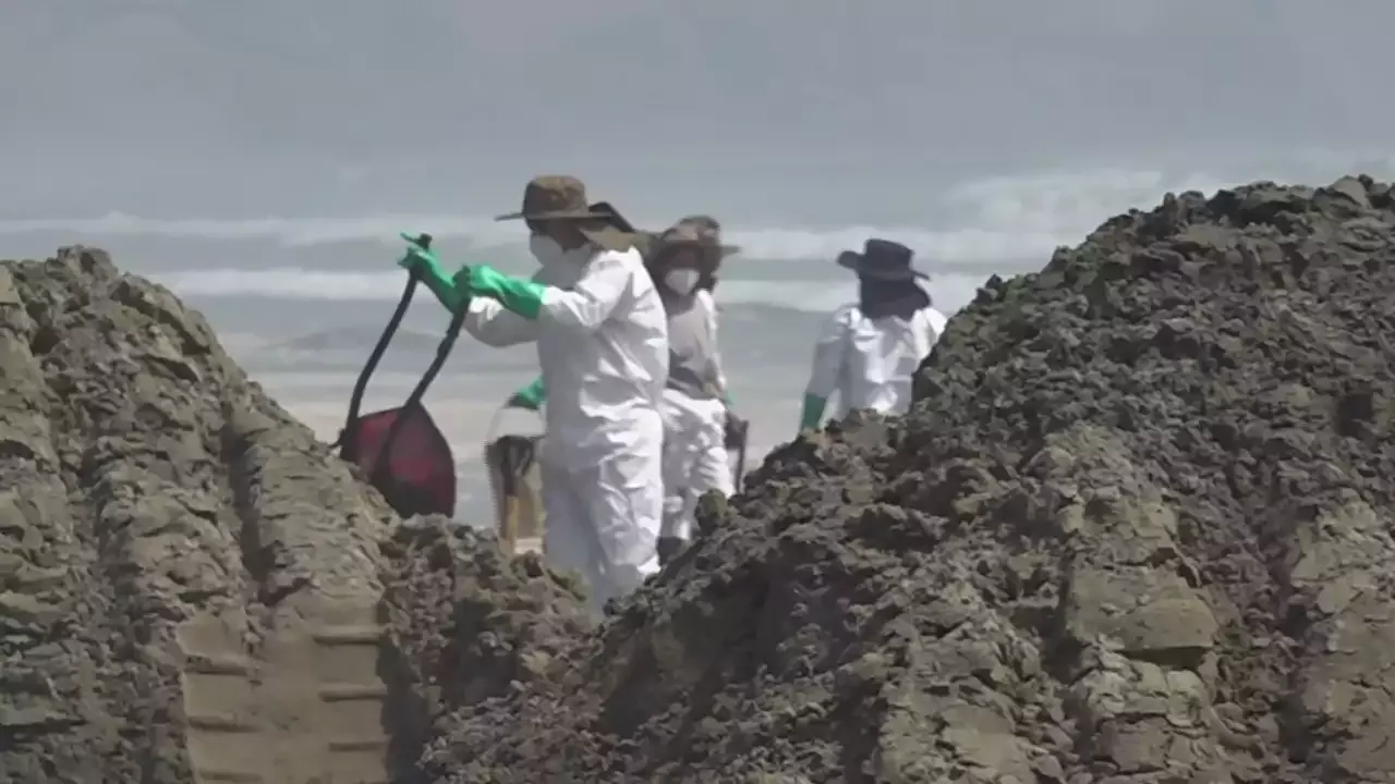 Fiscalía investiga desastre ecológico por petróleo en playas de Perú | Video