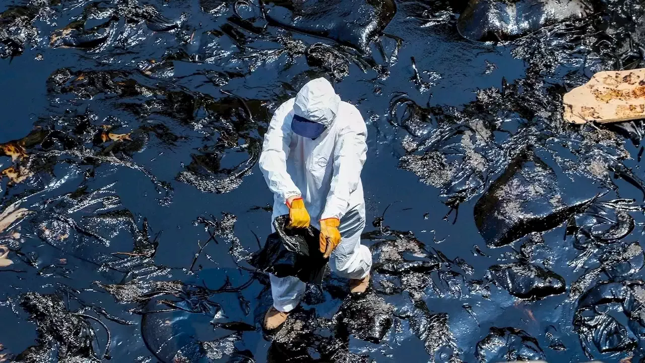 DiCaprio publica video del desastre ambiental por derrame de petróleo en Perú