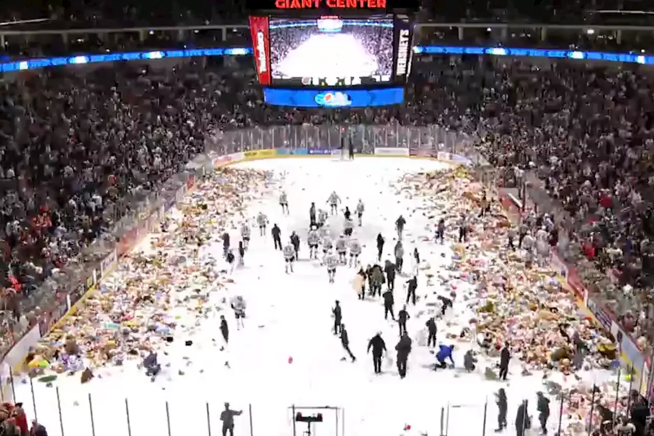 Hershey hockey fans set world record in ‘Teddy Bear Toss’ game