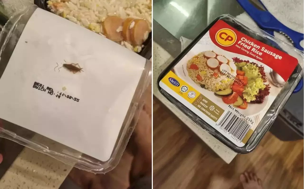 Man’s late-night snack of CP fried rice includes vacuum-sealed cockroach - The Independent Singapore News
