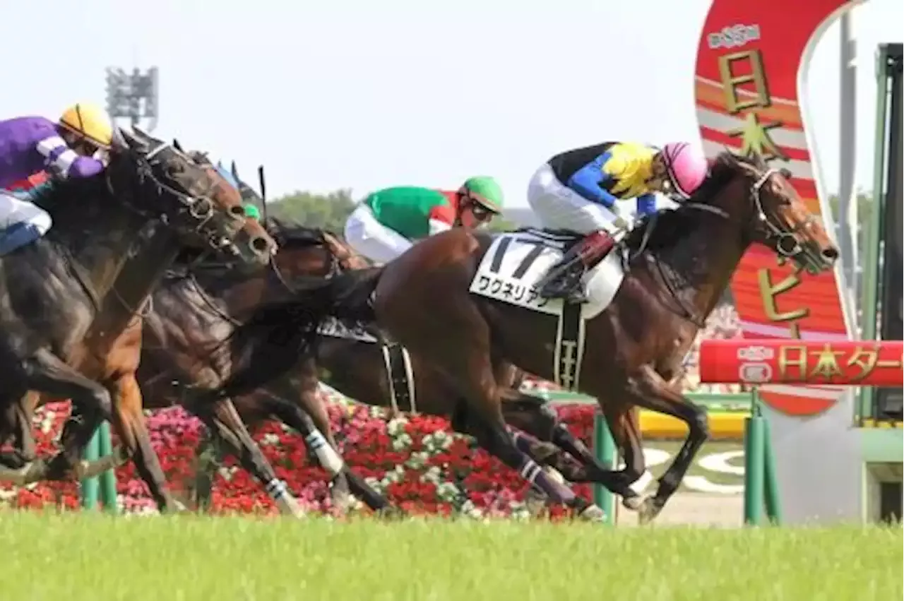 18年の日本ダービー馬 ワグネリアンが死す 多臓器不全のため ライブドアニュース 競馬 競馬