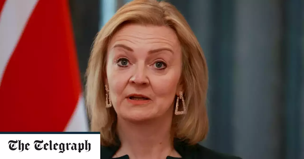 Liz Truss's threat to trigger Article 16 is 'unhelpful' and 'unsurprising', warns EU ambassador