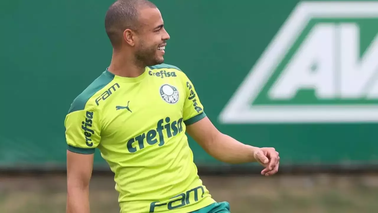 Perfil do Palmeiras some do Twitter; clube promete explicação nesta  quarta-feira - Lance!