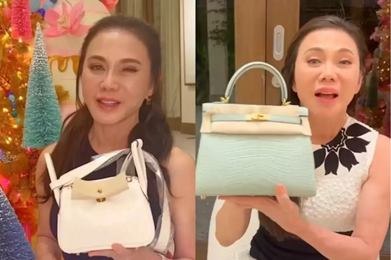 Hayden Kho Gifts Vicki Belo With Different Hermà¨s Bags For