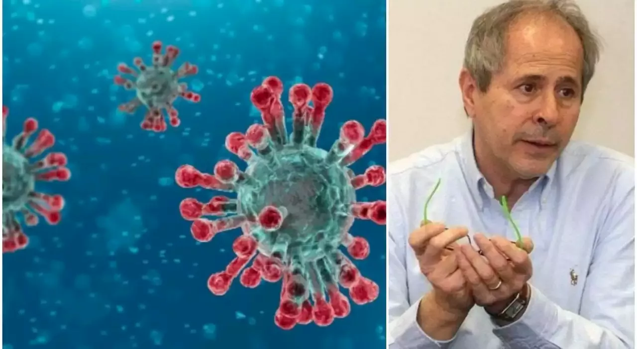 Omicron, Crisanti: «Il virus ormai va così veloce che ci pensa lui a vaccinare tutti»