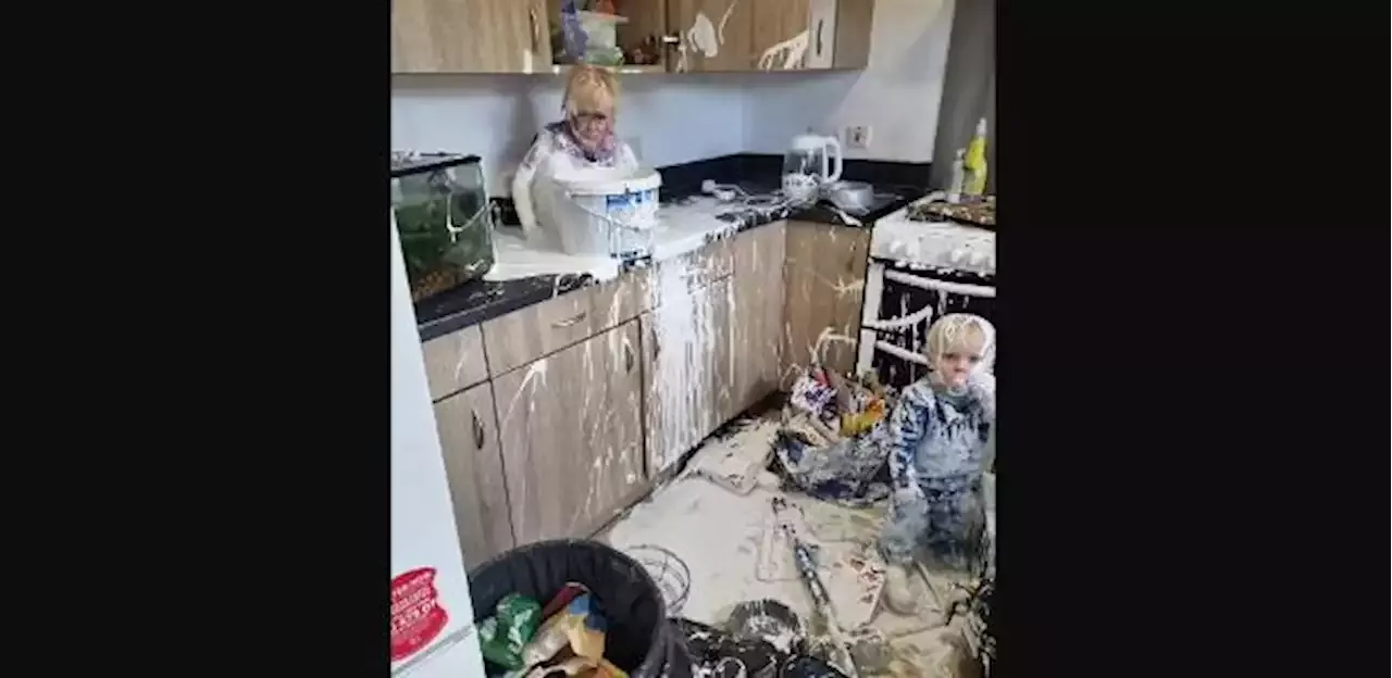 asomadetodosafetos.com - Garotinha de 4 anos dá banho de tinta no irmão e faz bagunça na cozinha em menos de 5 minutos