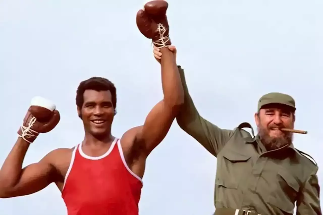 Impacto en Cuba: 60 años después de la prohibición, se permitirá que los  boxeadores sean profesionales