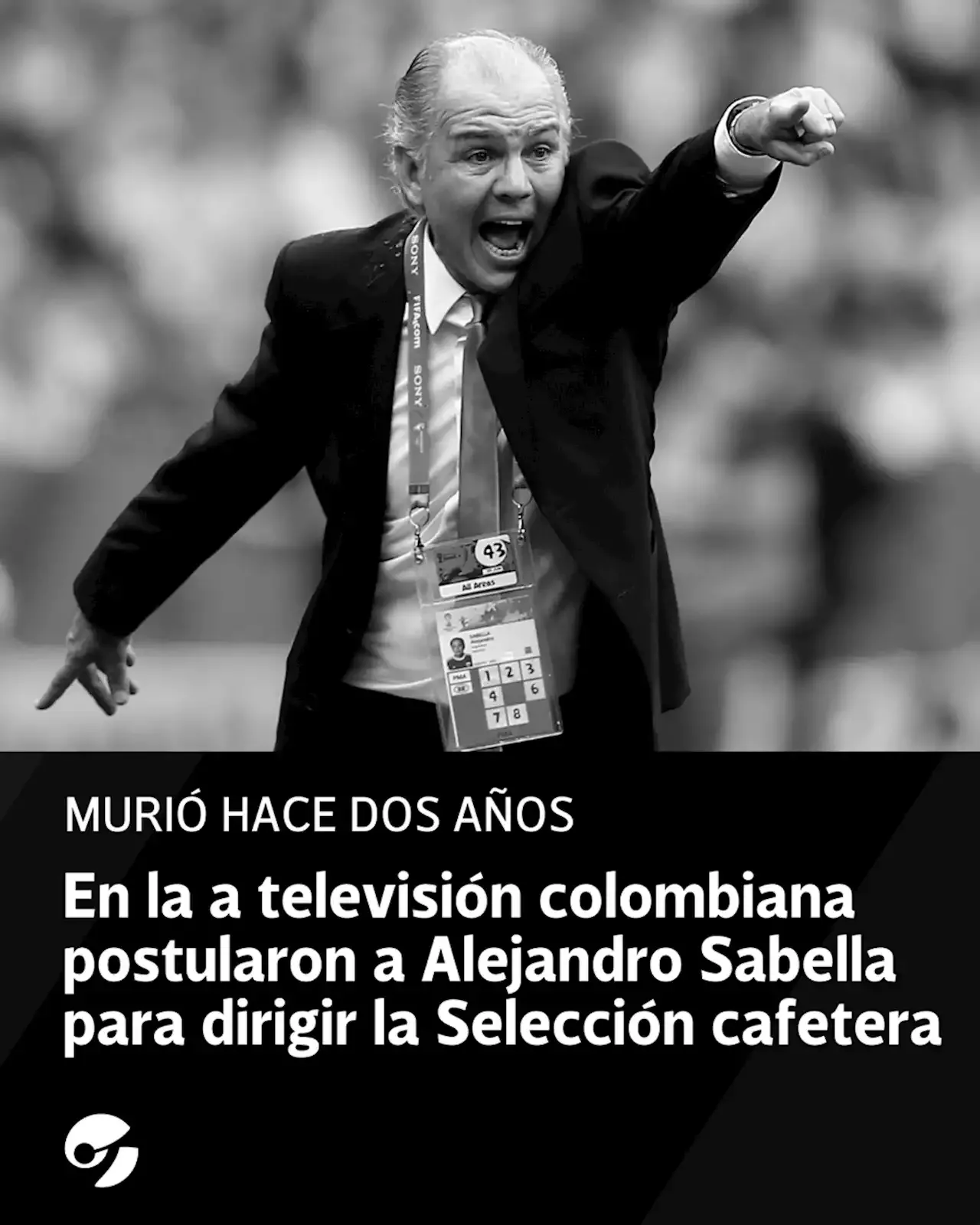 Increíble momento en la televisión colombiana: postularon a Alejandro Sabella para dirigir la Selección cafetera