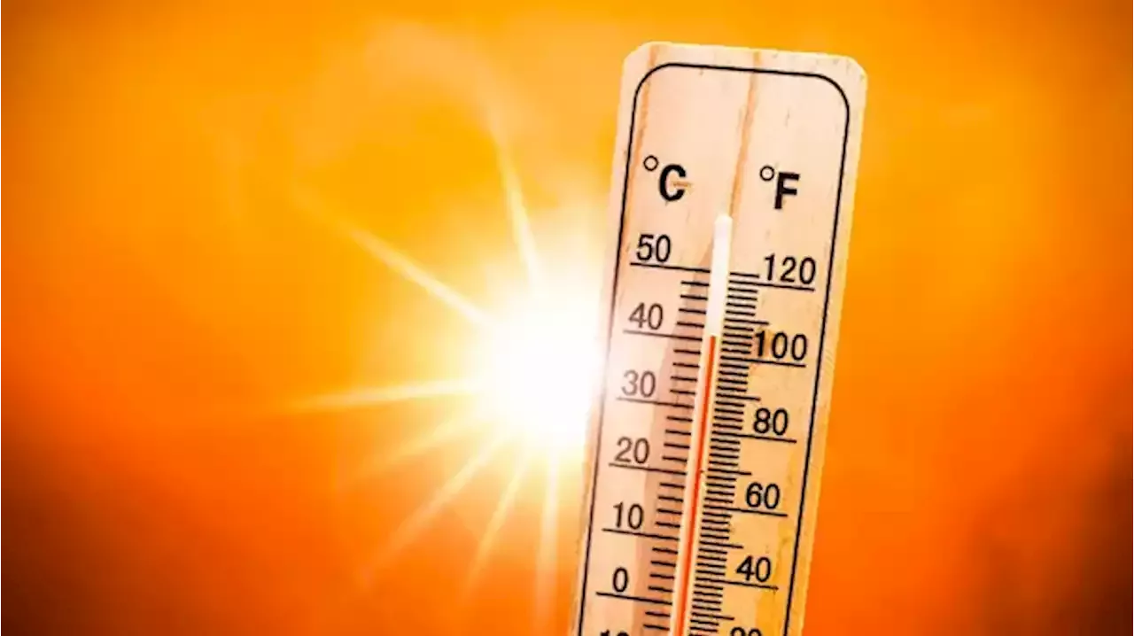 باحث في #الطقس يتوقع: أجواء حارة جداً على 3 مناطق اليوم - صحيفة الوئام الالكترونية