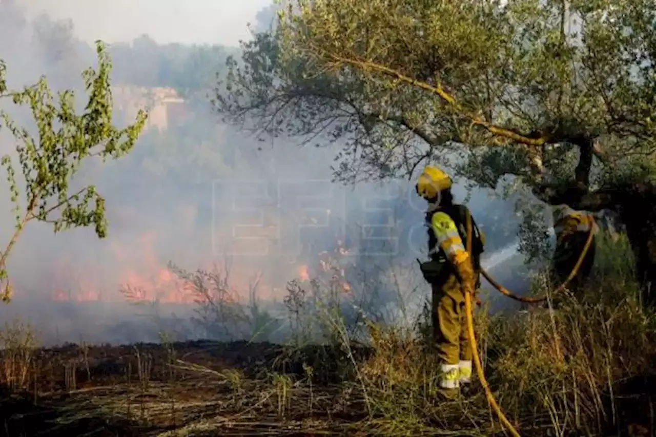 Medios aéreos se suman trabajos extinción incendio Venta del Moro (Valencia)