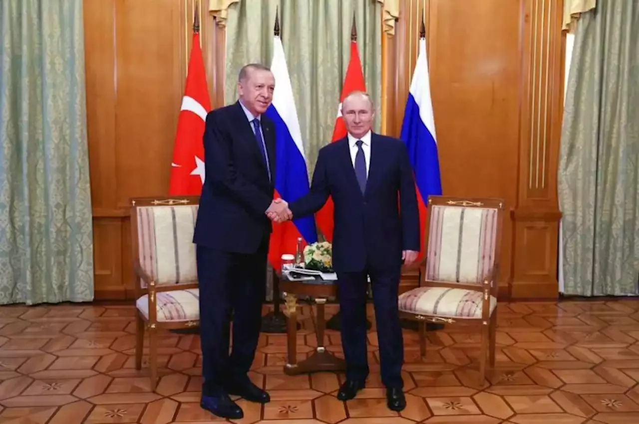 Erdogan dan Putin Tekankan Pentingnya Ekspor Biji-bijian dan Pupuk Rusia |Republika Online