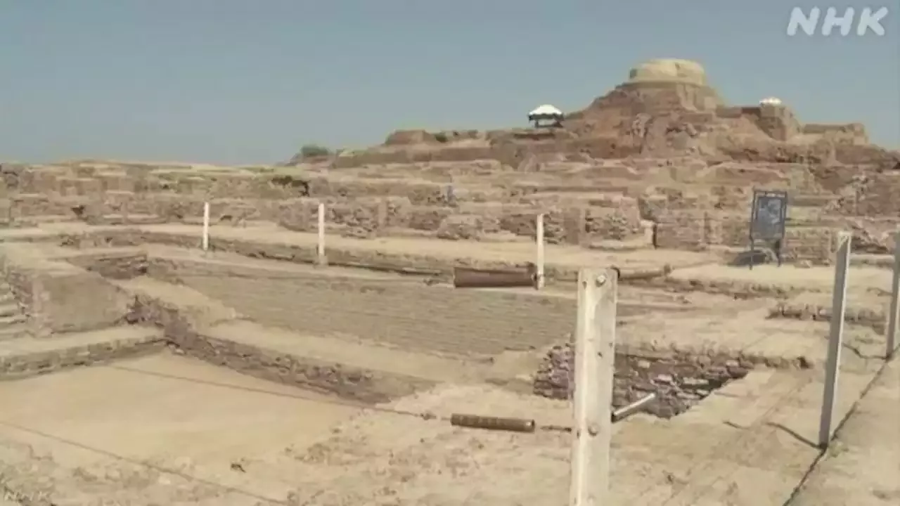インダス文明 モヘンジョダロ 遺跡 大雨被害の修復作業開始 Nhk