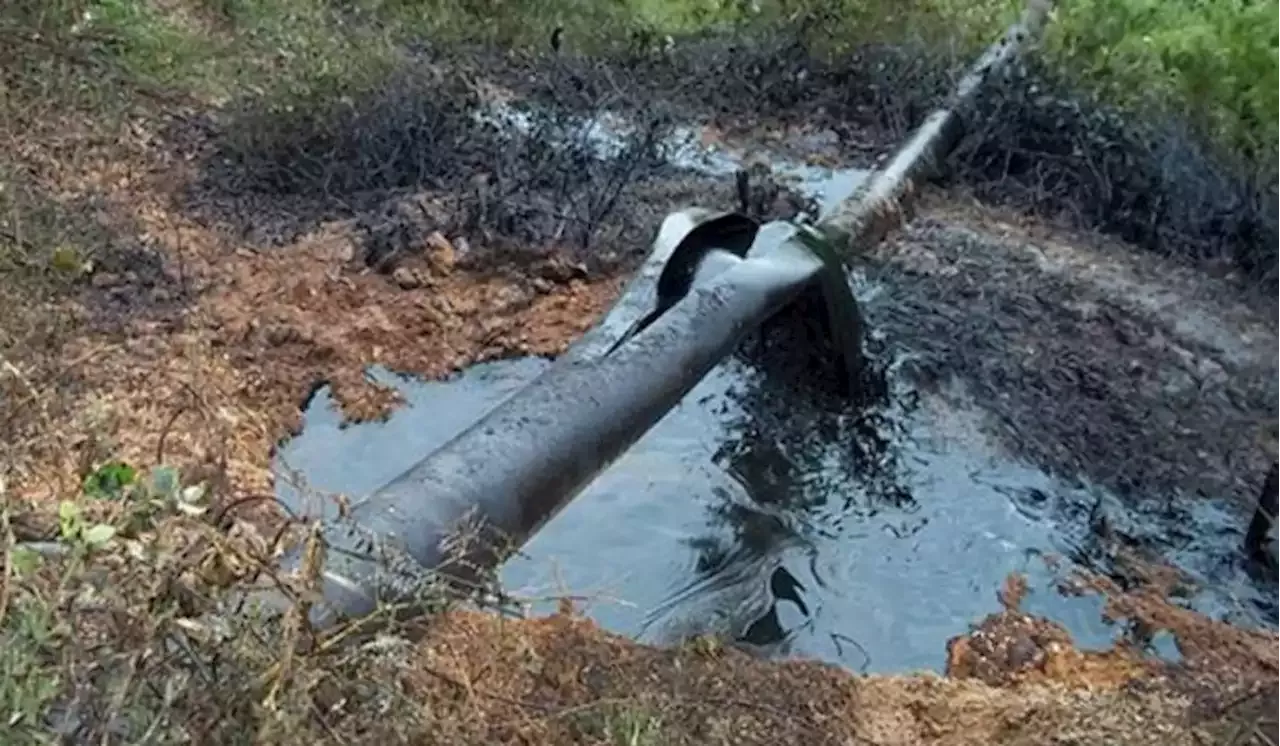 Nuevo ataque contra el oleoducto Caño Limón Coveñas en Arauca