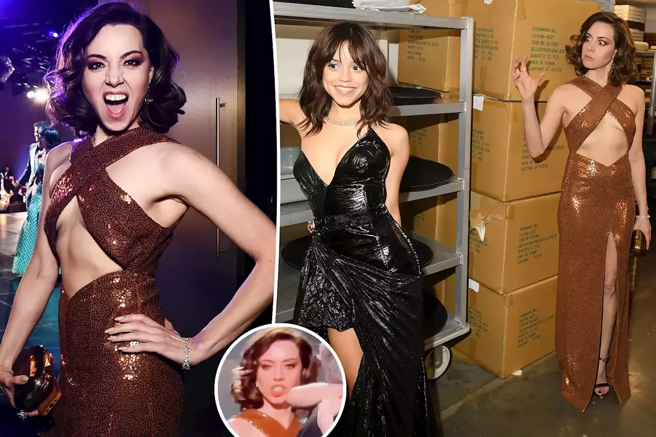 Fans praise Aubrey Plaza's sexy SAG Awards 2023 dress amid co-star's comment
