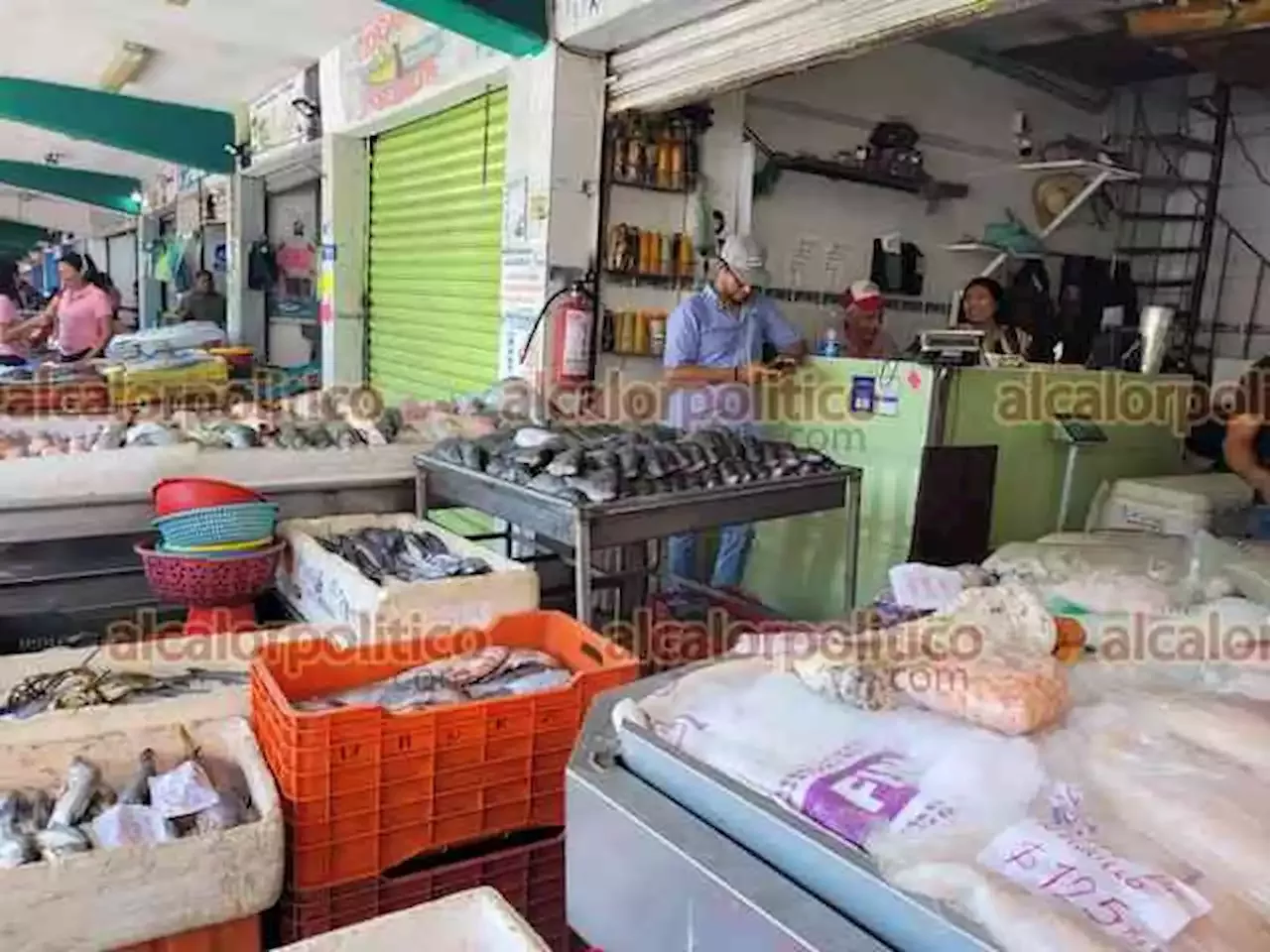Repuntan ventas de pescados y mariscos, en Veracruz Puerto