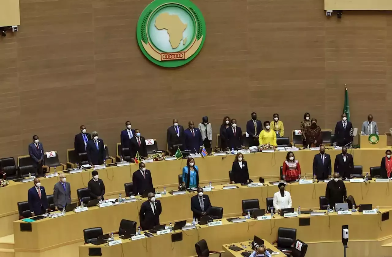 members of the african union